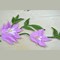 2 Pieces Lavender Lily Flower Appliques Embroidered with Green Vines & Iron-On Backing for DIY Crafts & Clothing